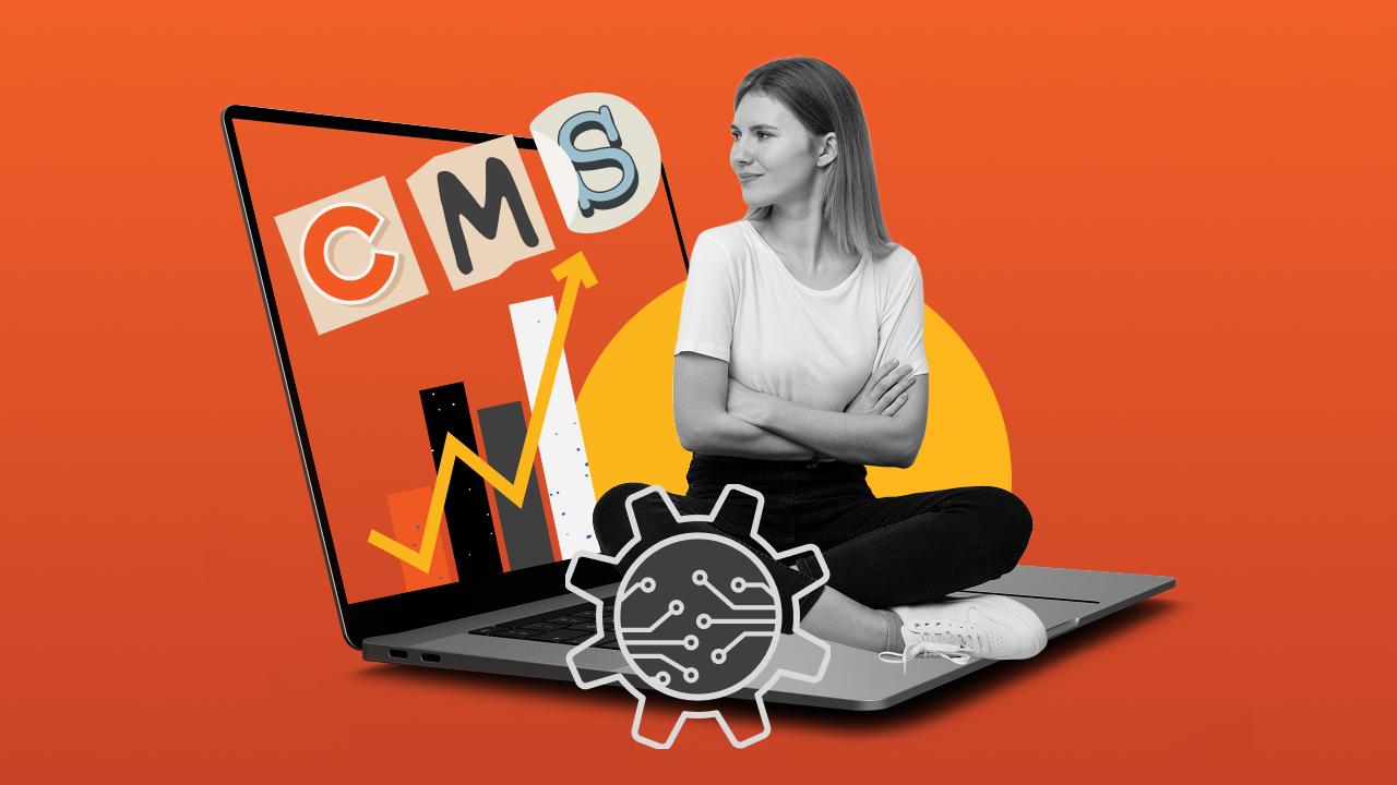 Content Management Systems (CMS): Perks And Flaws Banner